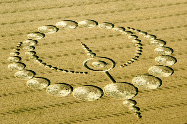crop-circles-11.jpg